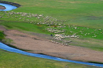 ��ԭ����ҵ