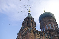 ���ý��������