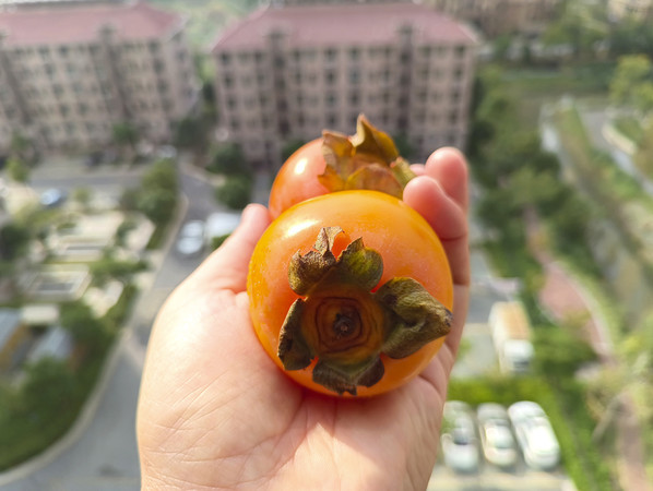 ��ժ����