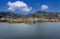 ������ɫͼƬ����