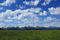 ���������ԭ�������