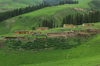 ����ʲ̨��ԭ�ϵ�ľ��