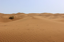 ��³��۷��ɳĮ