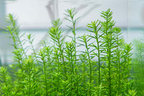 ����е��̹�͢ˮ��