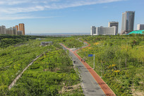 ��³ľ��С�̹ȹ�԰С·