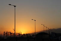 Ϧ���µ�·�Ƹ˼�Ӱ