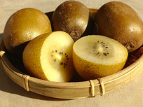 ���߻���⨺���