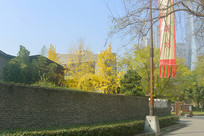 �ɶ�ˮ�������������