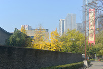 �ɶ�ˮ�����������������