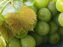 ����������������