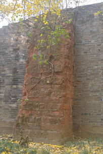 �Ĵ��ɶ����ų�ǽ��ַ�����ǽ