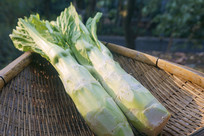 �����İ�����