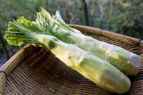 ���ý���߲� ������ 