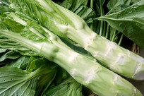 ���ý���߲˴�ͷ��