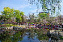 ������Ԩ̶��԰