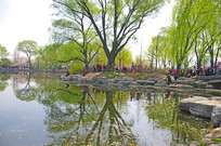 ��԰������