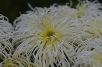 ������д