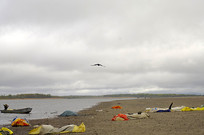 ����С��