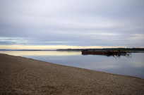 ���ϵĲ�ɰ��