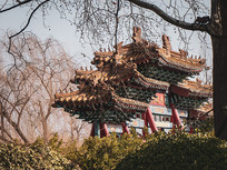 �������ϴ���