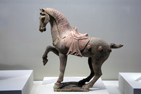 �ʻ�����  