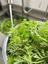 ����ֲ��