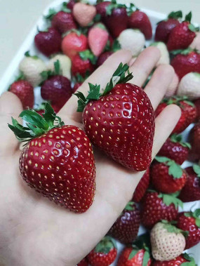 ��ݮ�ʹ�����