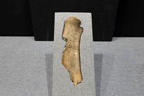 �̸�֧��ţ�� �� 