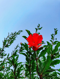 һ���ɫʯ��