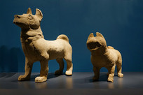 �ɶ����������ݺ�����Ȯ 