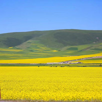 ��԰�Ͳ˻���