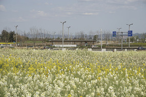 ��ɫ�Ͳ˻�����