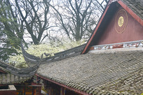 �Ű��ɶ�ɽ������滨ʢ��