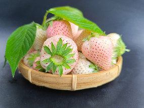ʹײݮ