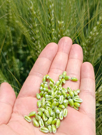 ������������