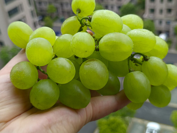 ��ժ����