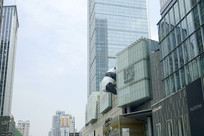 �ɶ�����·����������è����