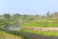 �ɶ���������԰С�������� 