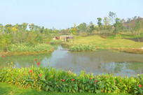 �ɶ���������԰�����ӷ�� 