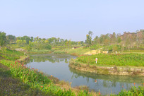 �ɶ������� ������С�Ӻ��� 