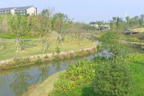 ��������԰��������Ȼ���