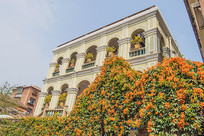 ������Ե��԰����¥����ǽ��