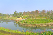 �Ĵ��ɶ���������԰������ 