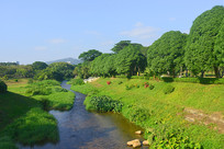 �����������������ĸ���� 