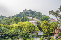 �������չ��Ҷ��סլ����Ⱥ