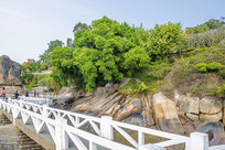 ��ׯ��԰��������ɽ����ľ