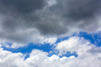 ���Ʊ���