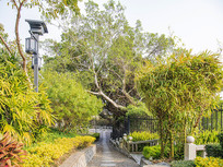 ������ʯ