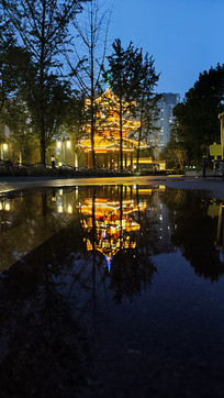 �����޺����¥ҹ��