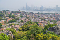 ��������������Ⱥ���